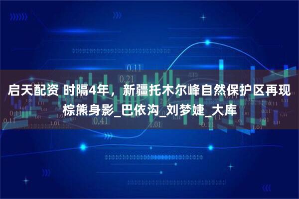 启天配资 时隔4年，新疆托木尔峰自然保护区再现棕熊身影_巴依沟_刘梦婕_大库