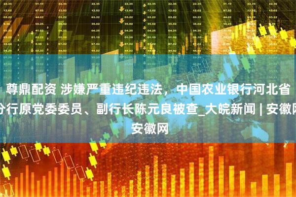 尊鼎配资 涉嫌严重违纪违法，中国农业银行河北省分行原党委委员、副行长陈元良被查_大皖新闻 | 安徽网