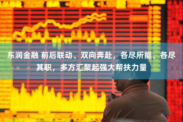 东润金融 前后联动、双向奔赴，各尽所能、各尽其职，多方汇聚起强大帮扶力量