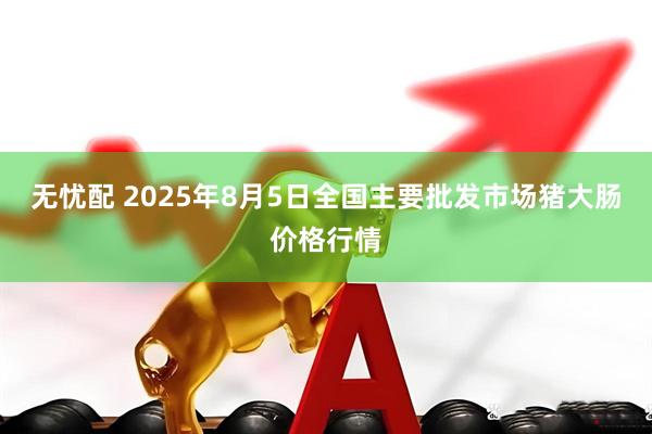 无忧配 2025年8月5日全国主要批发市场猪大肠价格行情