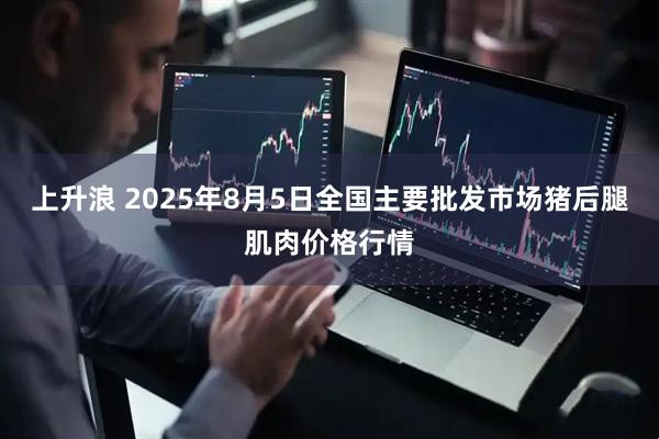 上升浪 2025年8月5日全国主要批发市场猪后腿肌肉价格行情