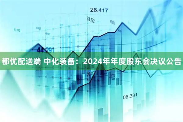 都优配送端 中化装备：2024年年度股东会决议公告