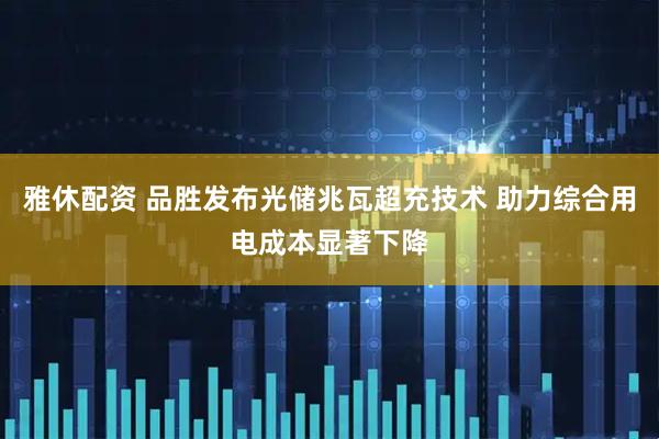 雅休配资 品胜发布光储兆瓦超充技术 助力综合用电成本显著下降